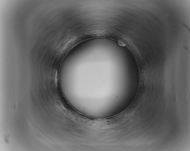 X0000102220024200808011213