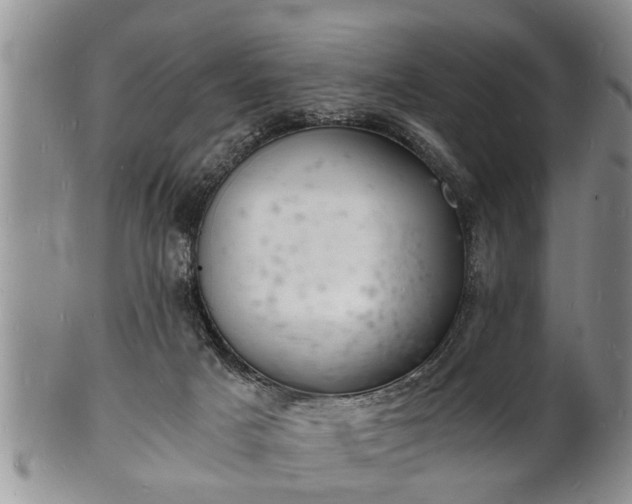 X0000102220025200808011213