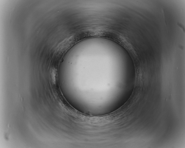 X0000102220026200808011212