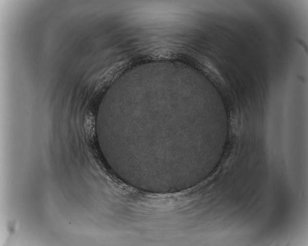 X0000102220029200808011212