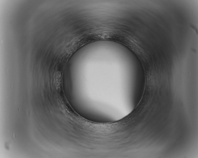 X0000102220030200808011212