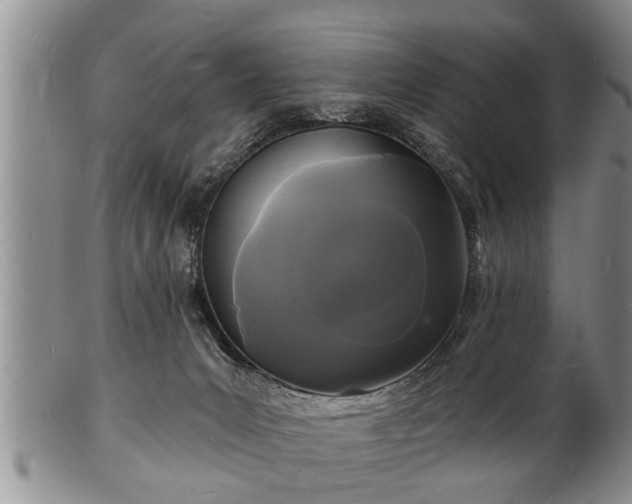 X0000102220031200808011212