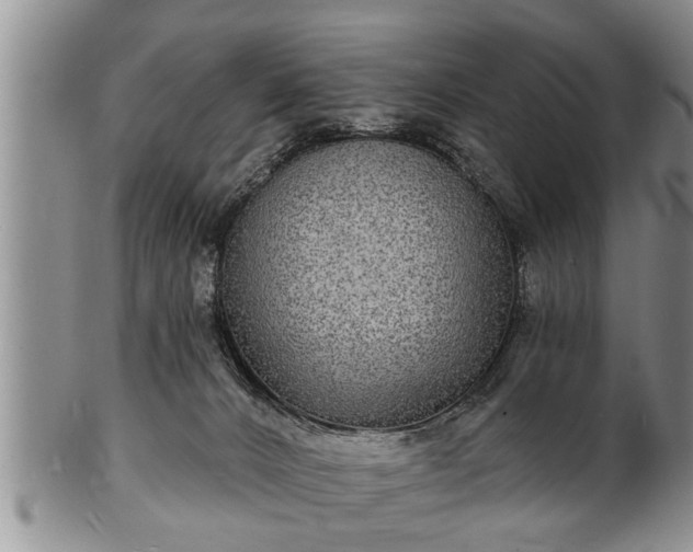 X0000102220032200808011212