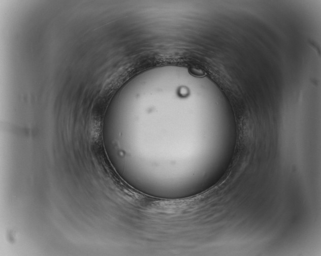 X0000102220033200808011212