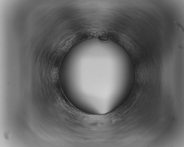 X0000102220034200808011212