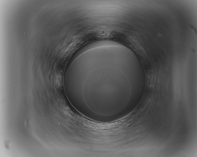 X0000102220035200808011212