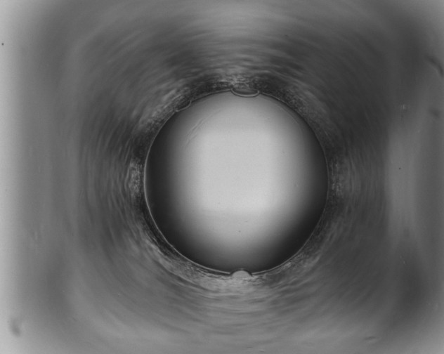 X0000102220036200808011212