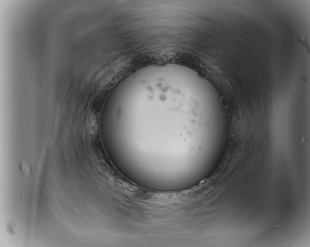 X0000102220037200808011212