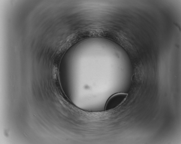 X0000102220038200808011212