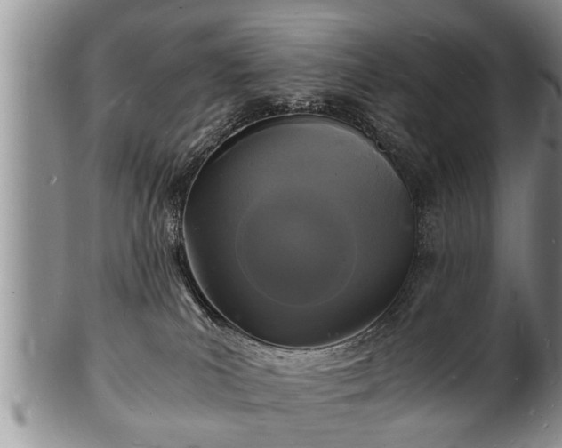 X0000102220039200808011212