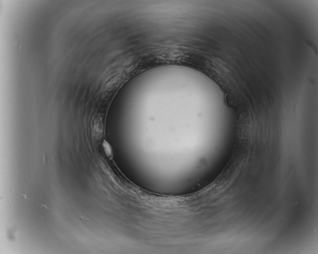 X0000102220040200808011212