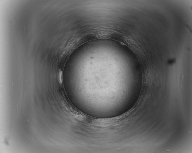 X0000102220041200808011212