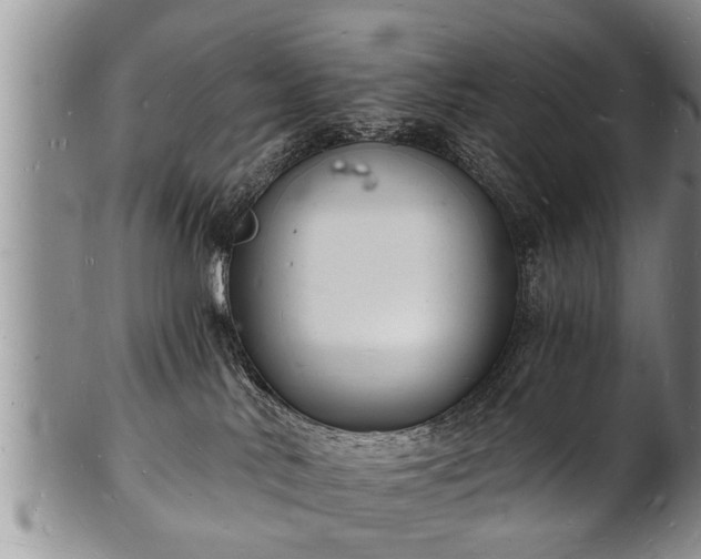 X0000102220042200808011212