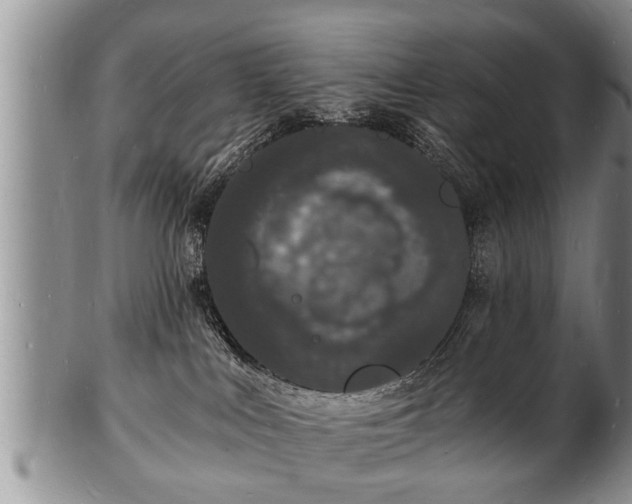 X0000102220043200808011212