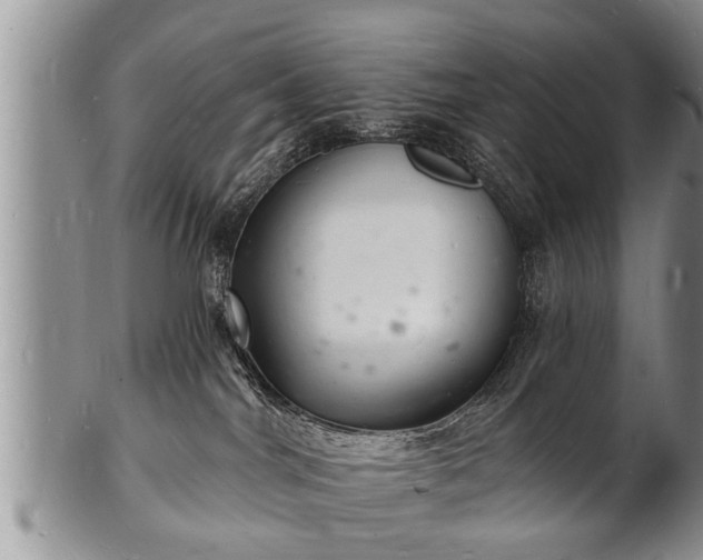 X0000102220044200808011212