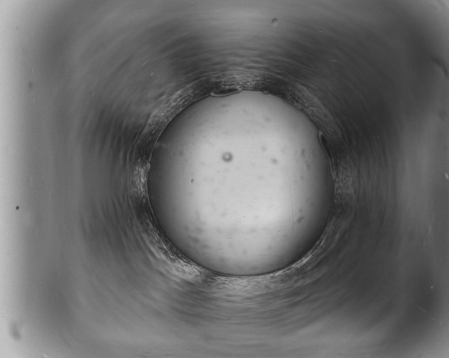 X0000102220045200808011212