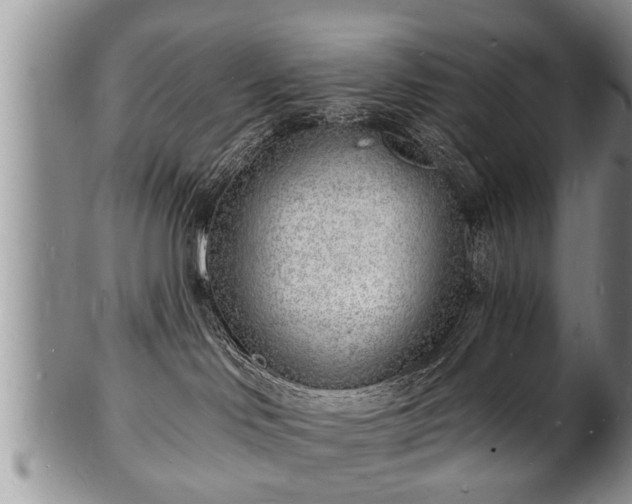 X0000102220046200808011212