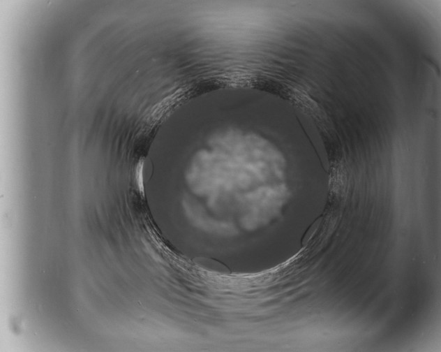 X0000102220047200808011212