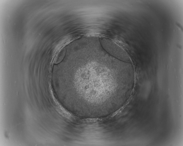 X0000102220049200808011211