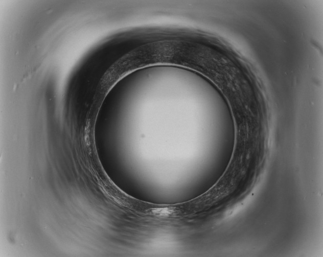 X0000102220050200808011212