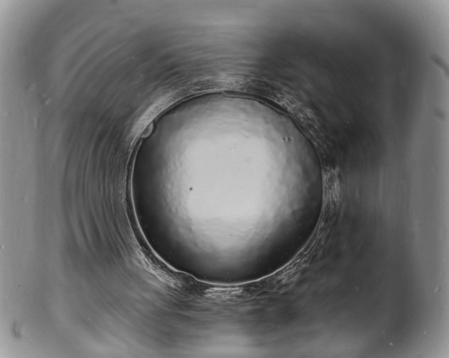 X0000102220051200808011212