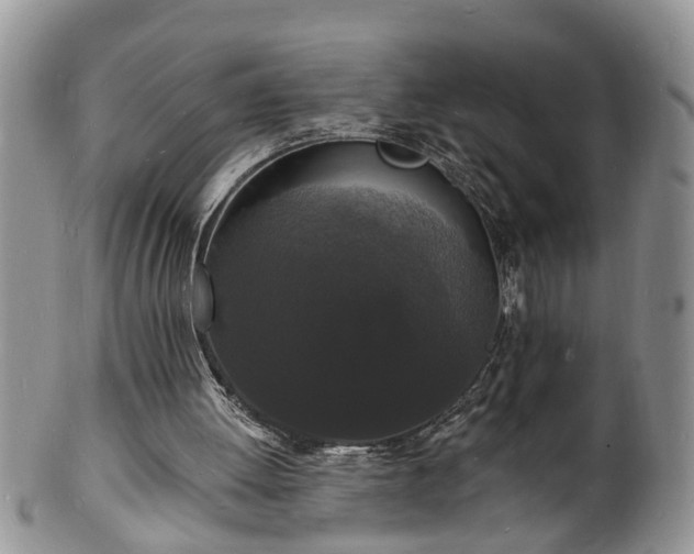 X0000102220052200808011212