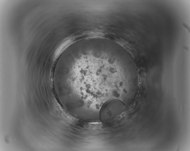 X0000102220053200808011212