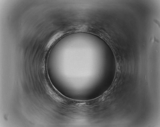 X0000102220054200808011212