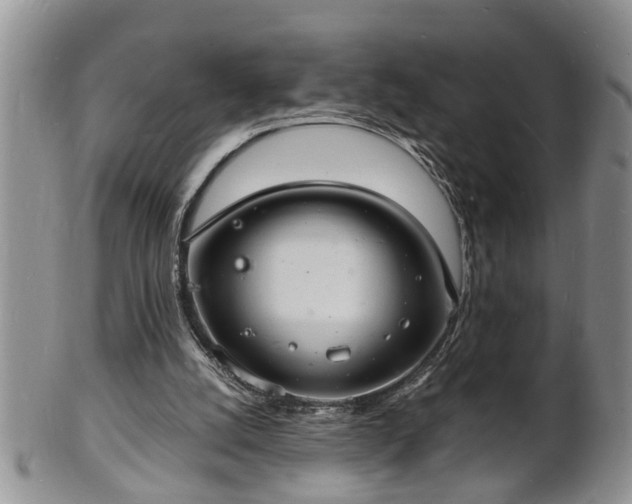 X0000102220056200808011212