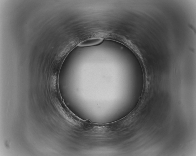 X0000102220057200808011212