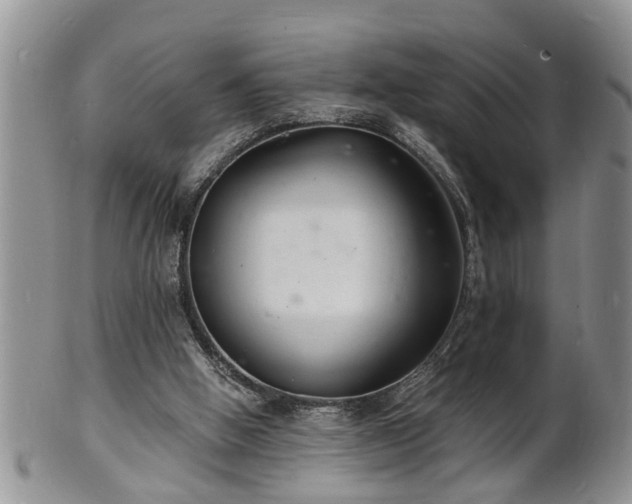 X0000102220058200808011212