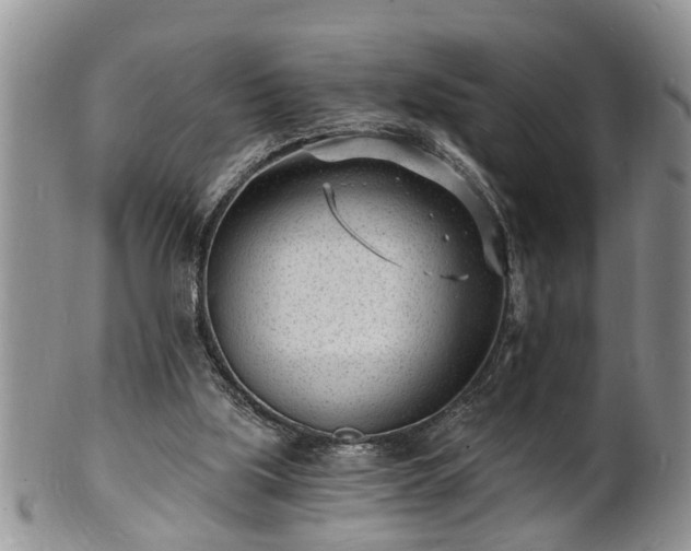 X0000102220059200808011212