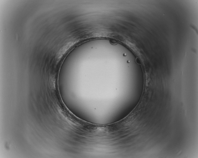 X0000102220060200808011212