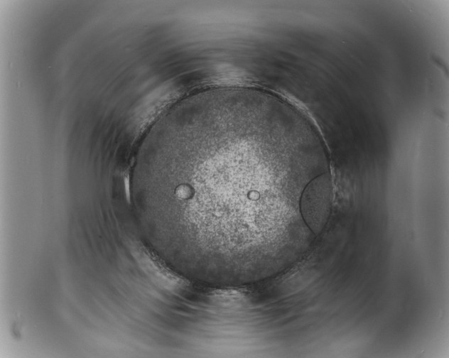 X0000102220061200808011212