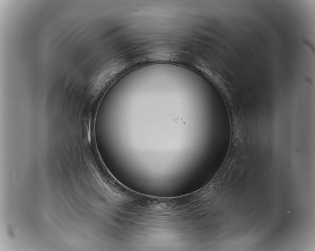 X0000102220062200808011212