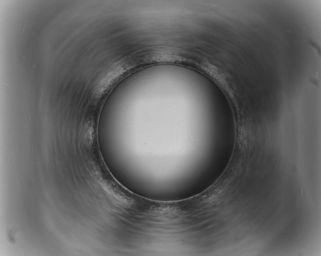 X0000102220063200808011212