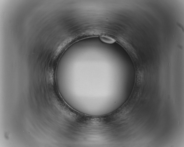 X0000102220064200808011212