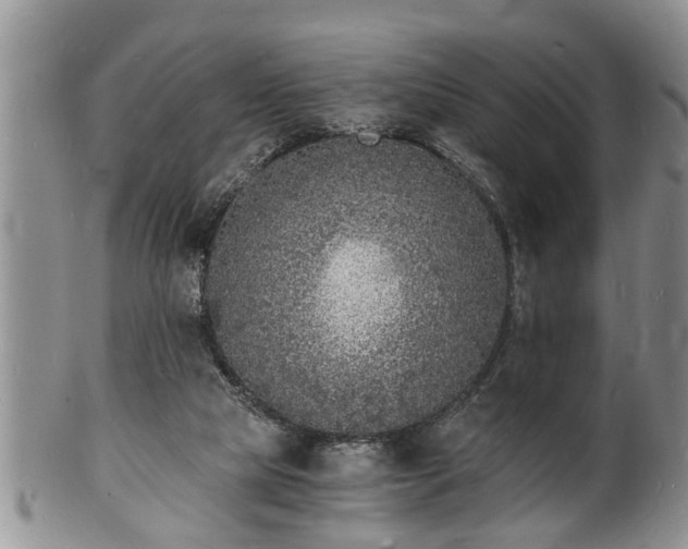 X0000102220065200808011212