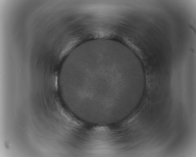 X0000102220067200808011212