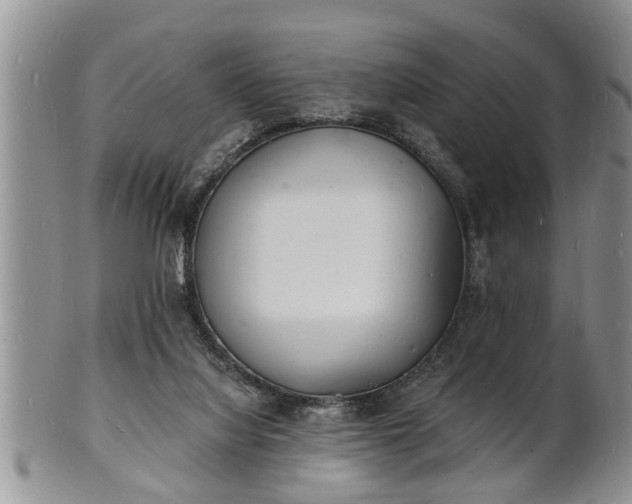 X0000102220068200808011212