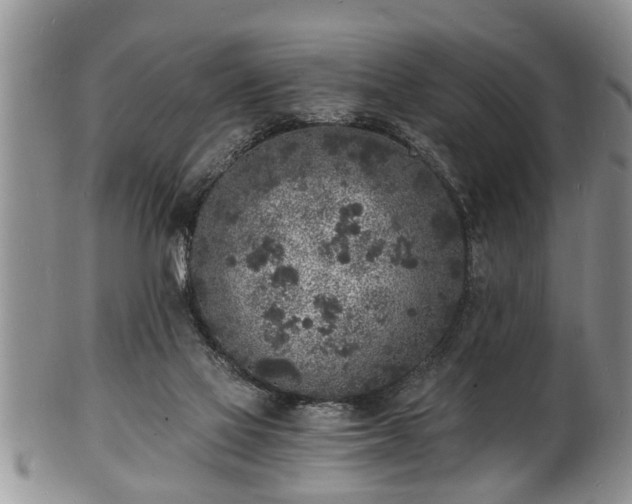 X0000102220069200808011212