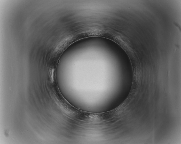 X0000102220070200808011212