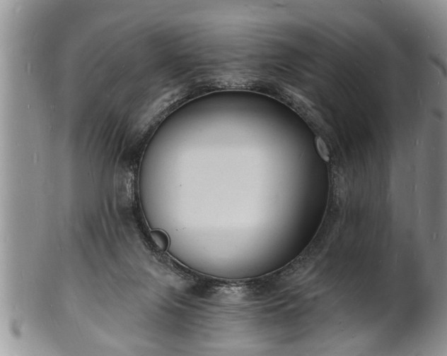 X0000102220071200808011212