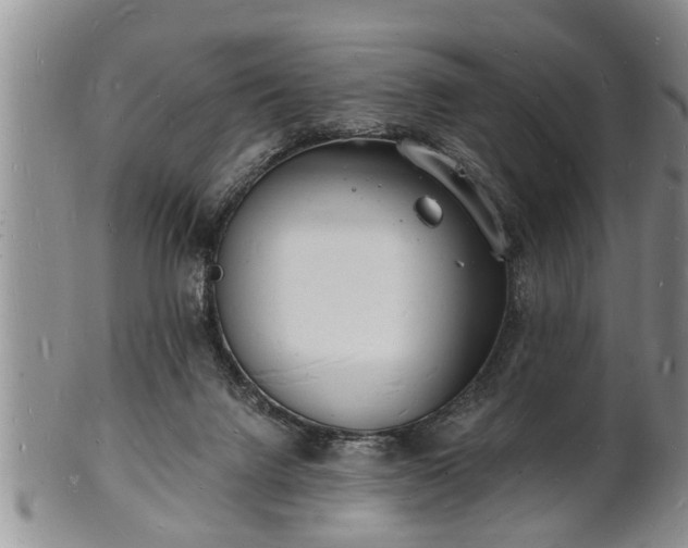 X0000102220072200808011212