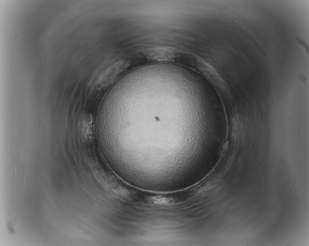 X0000102220073200808011212