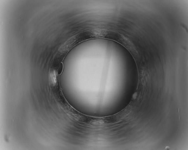 X0000102220075200808011212