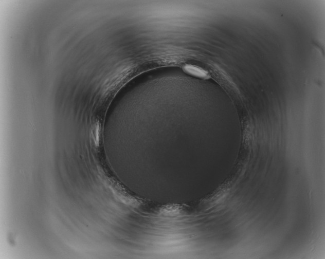 X0000102220076200808011212