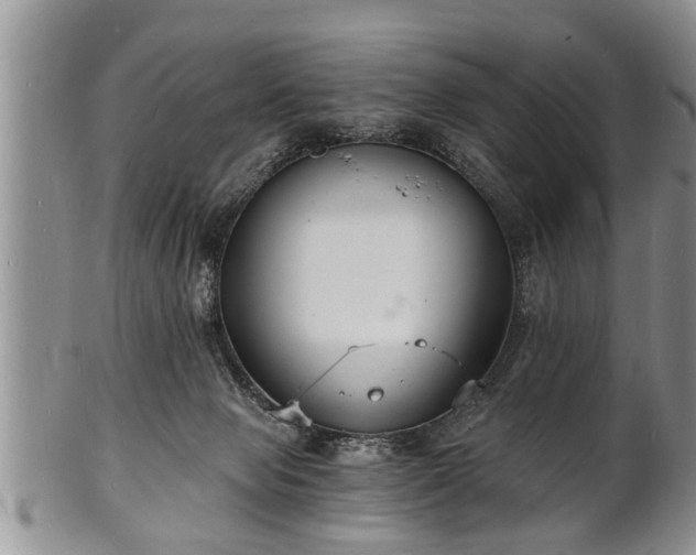 X0000102220077200808011212