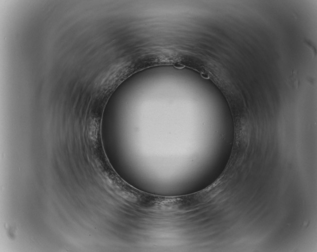 X0000102220078200808011212