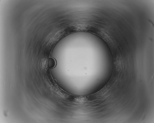 X0000102220079200808011212